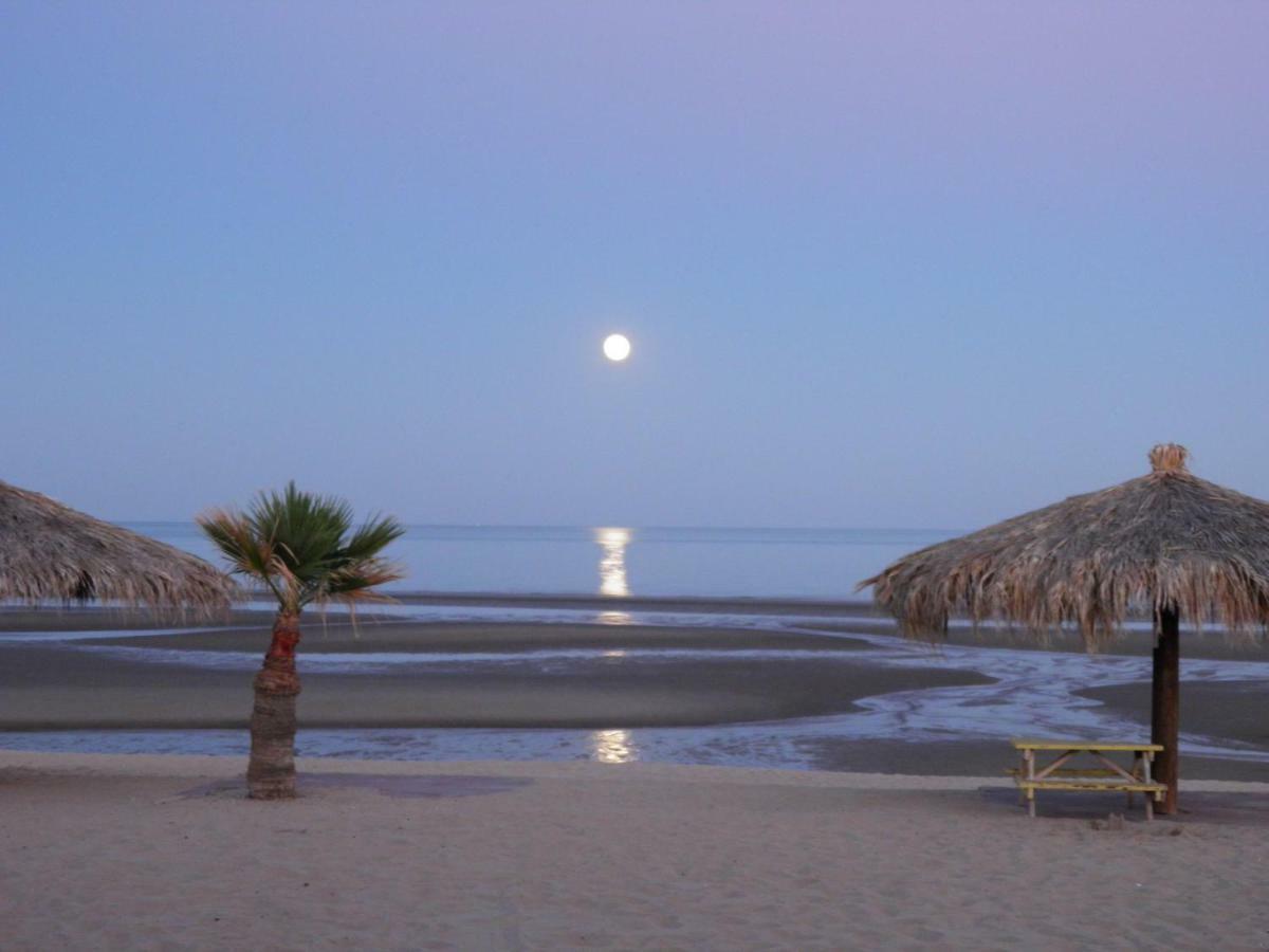 #38 Bungalow Seaside Hotel & Victors Rv Park San Felipe  Exteriör bild